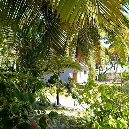 Chez Gigi - Eco Lodge Mahahual Luaran gambar