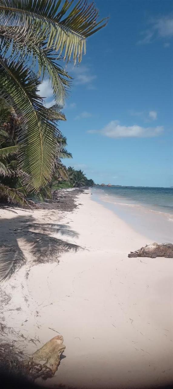 Chez Gigi - Eco Lodge Mahahual Luaran gambar