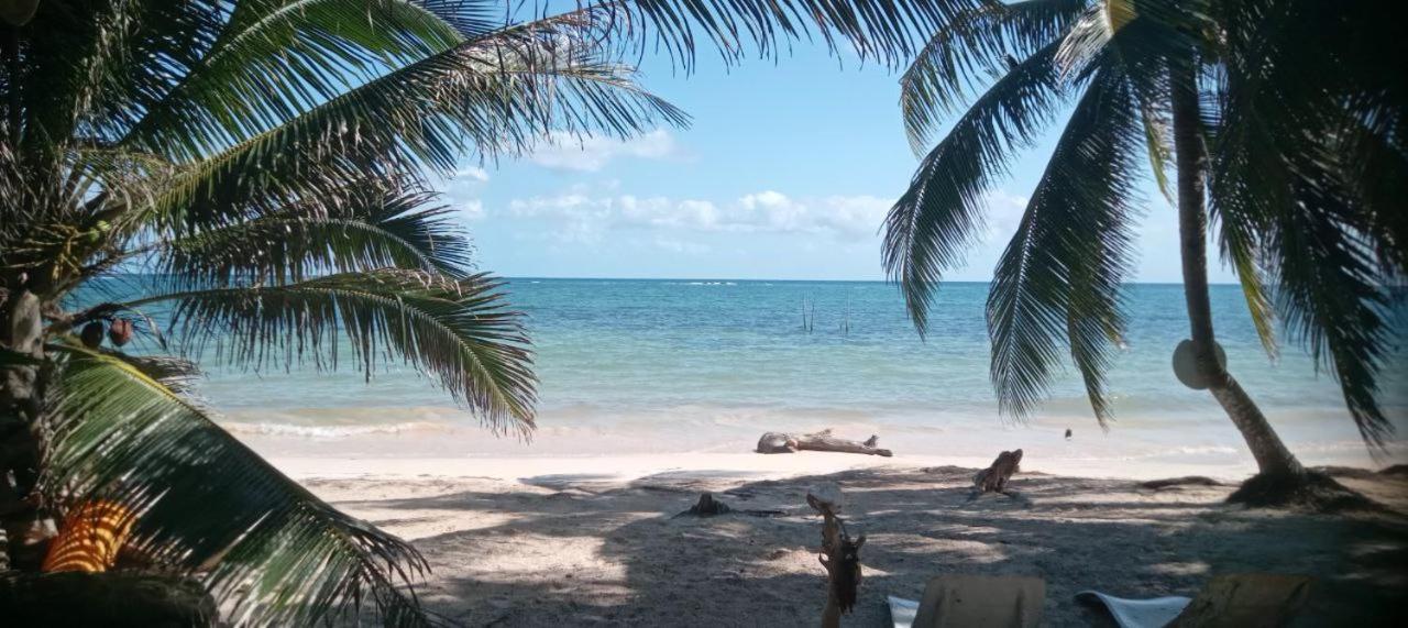 Chez Gigi - Eco Lodge Mahahual Luaran gambar
