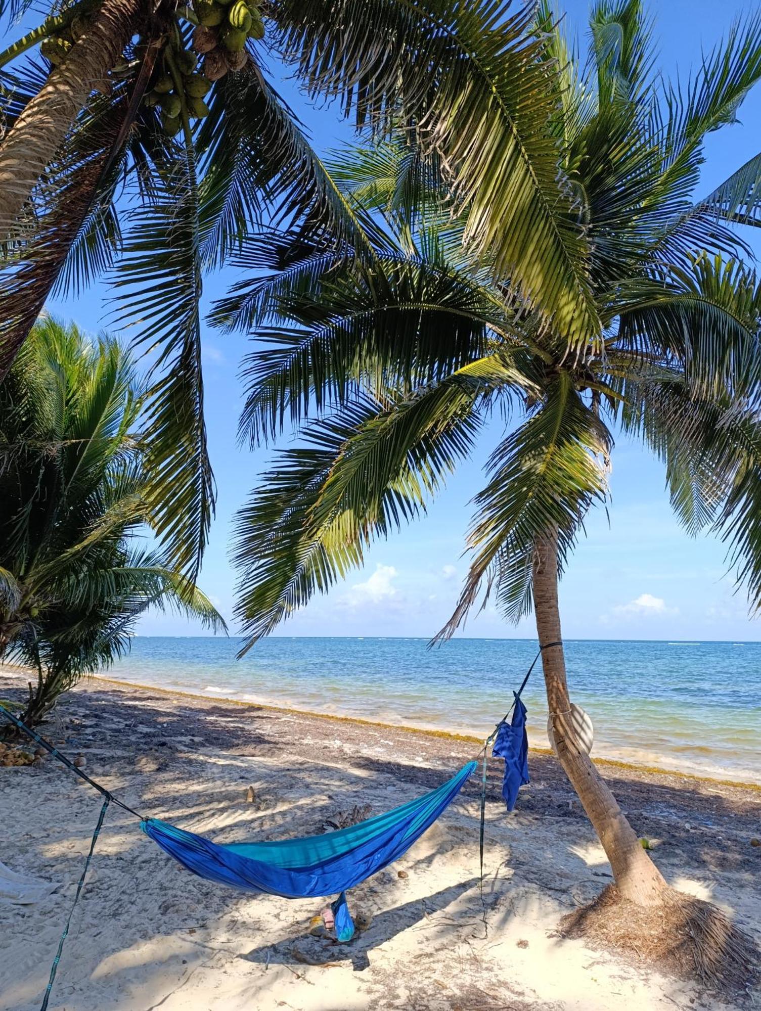 Chez Gigi - Eco Lodge Mahahual Luaran gambar