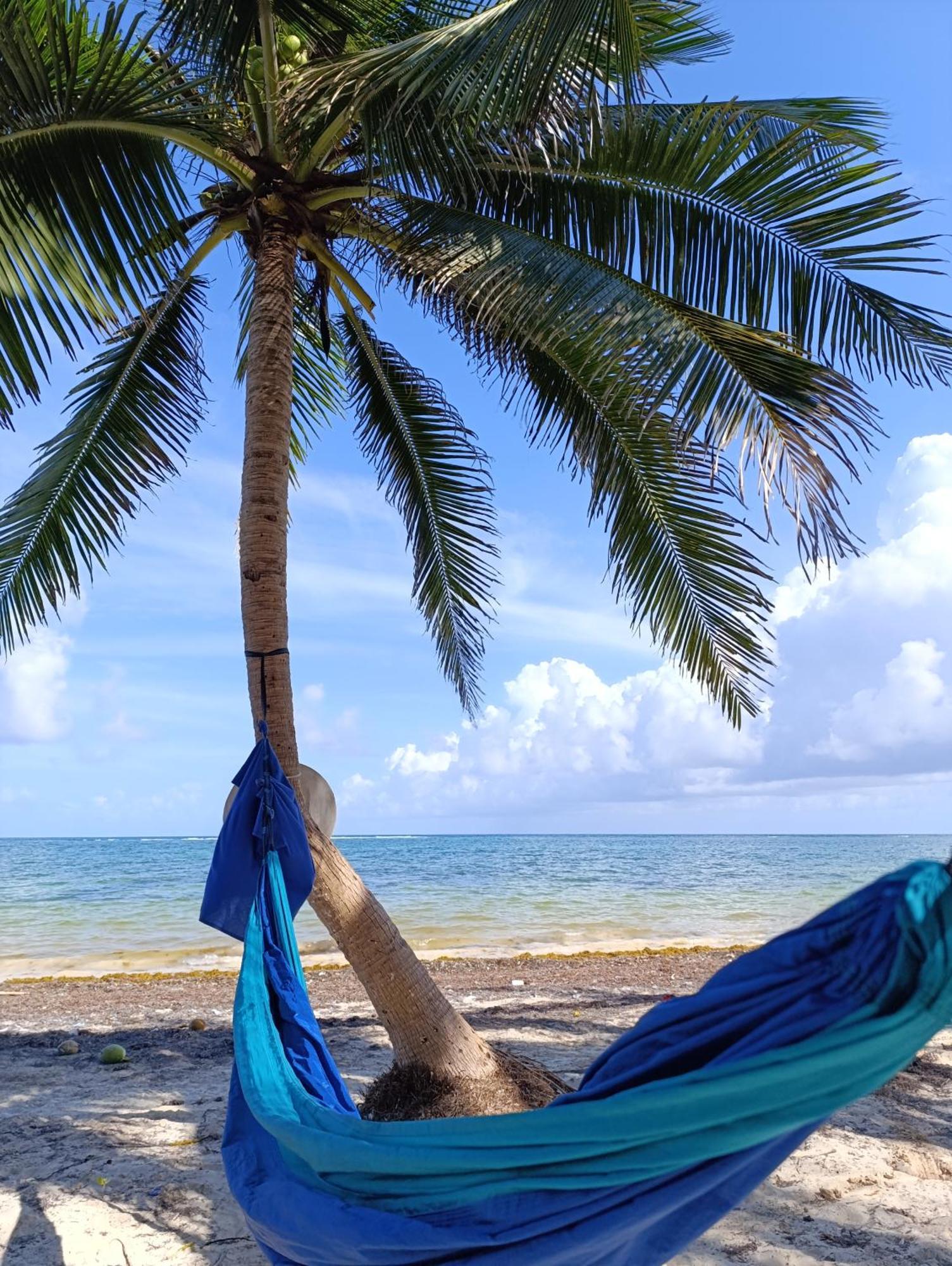 Chez Gigi - Eco Lodge Mahahual Luaran gambar
