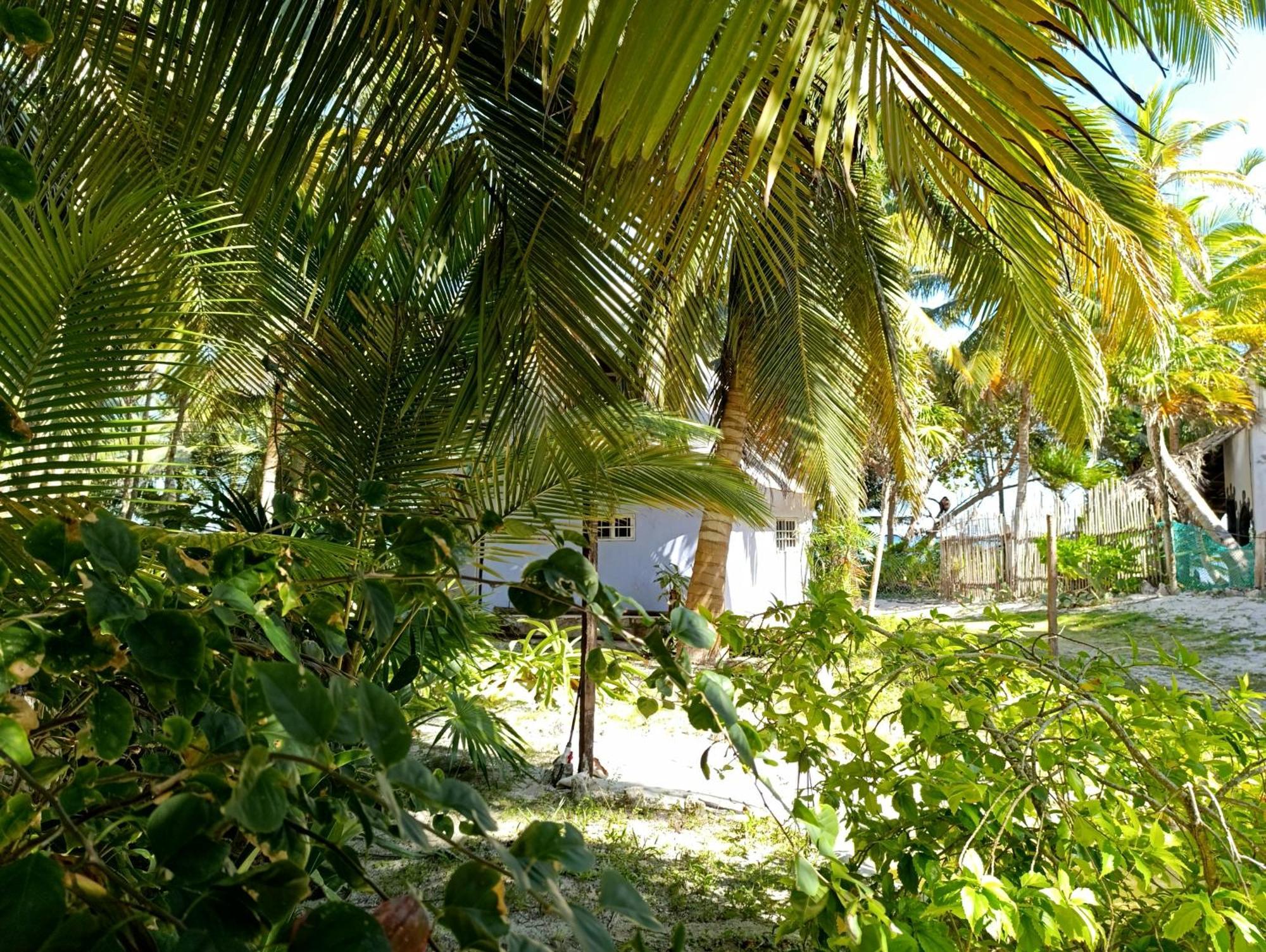 Chez Gigi - Eco Lodge Mahahual Luaran gambar