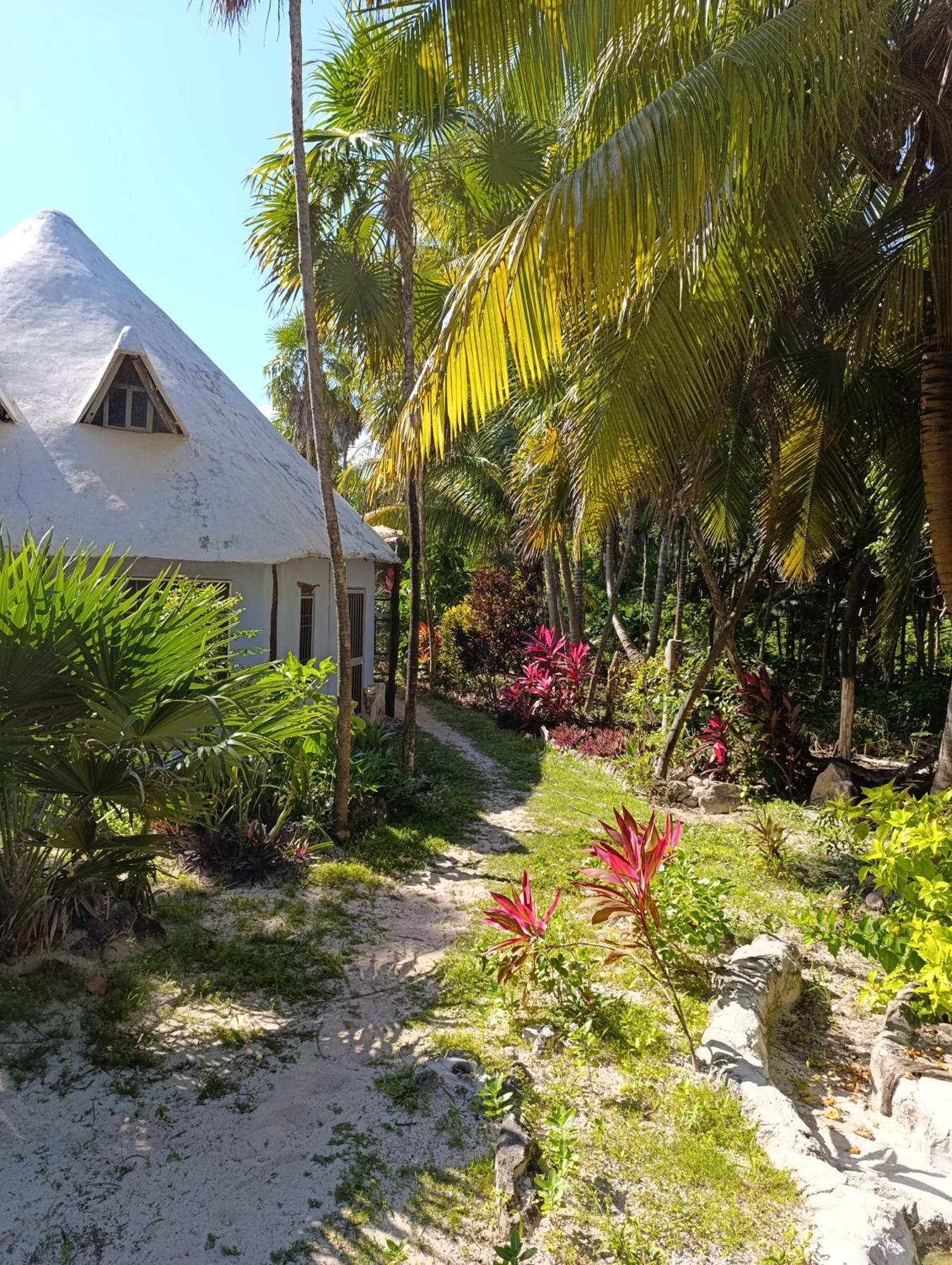 Chez Gigi - Eco Lodge Mahahual Luaran gambar