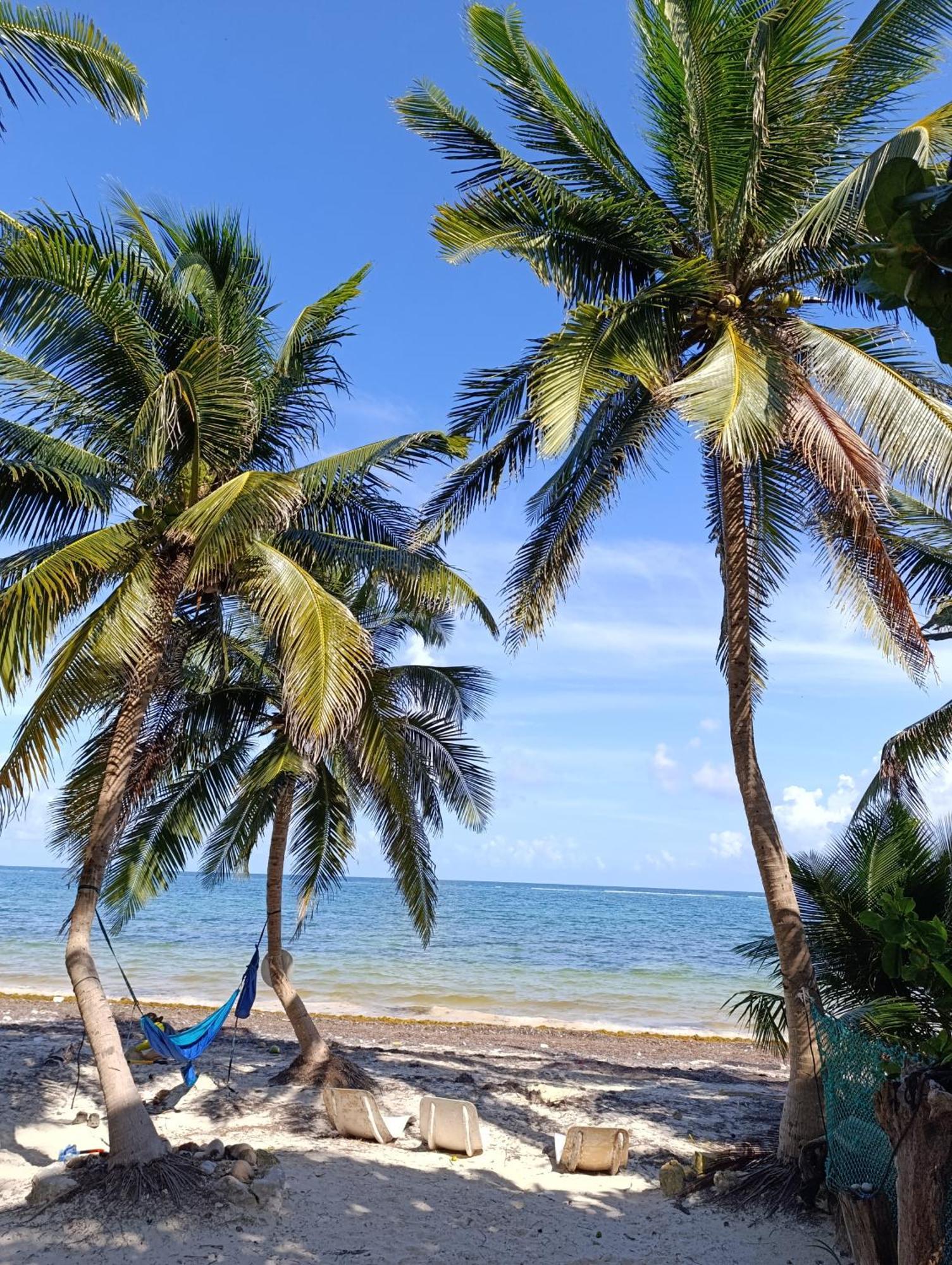 Chez Gigi - Eco Lodge Mahahual Luaran gambar