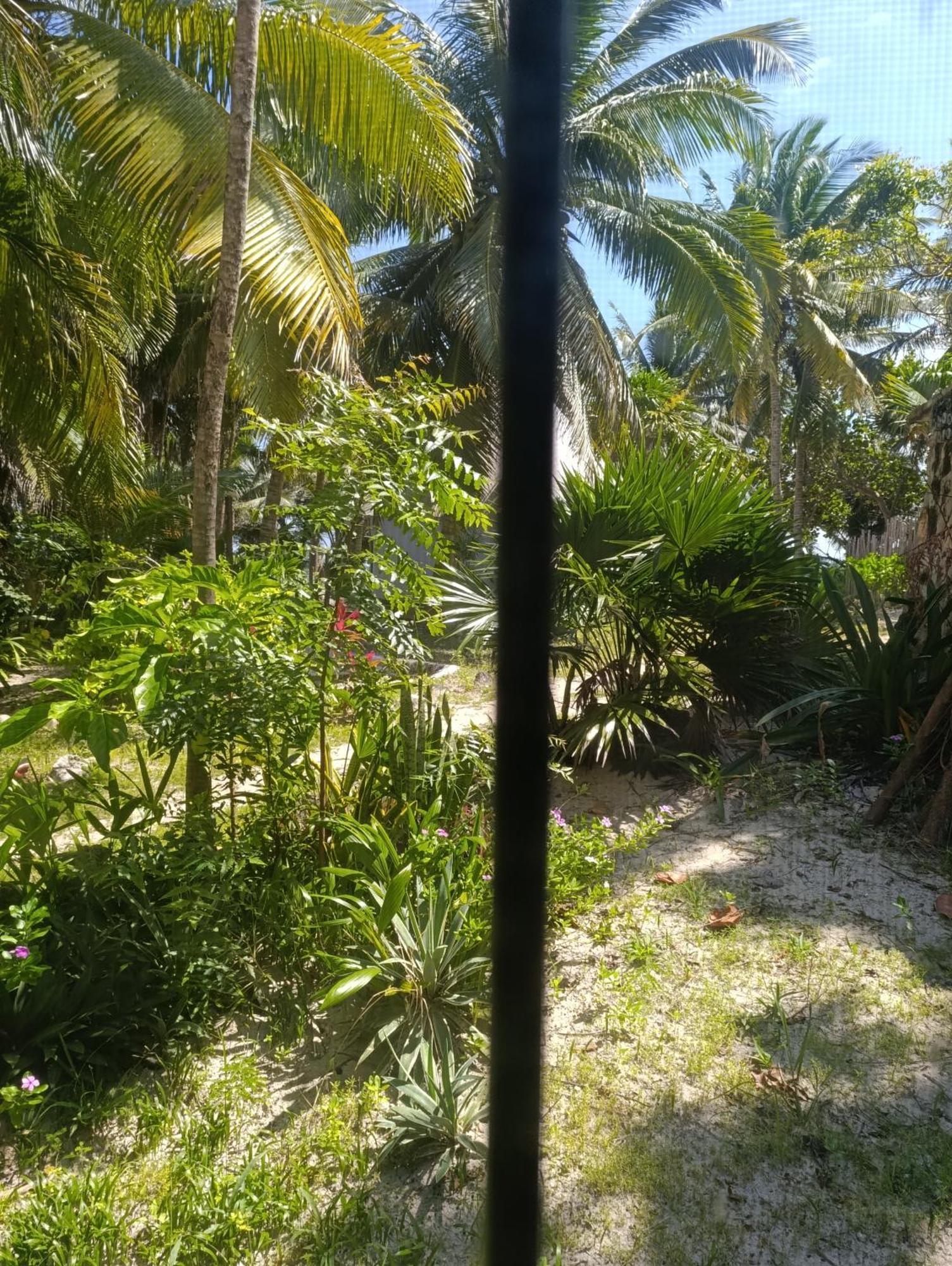 Chez Gigi - Eco Lodge Mahahual Luaran gambar