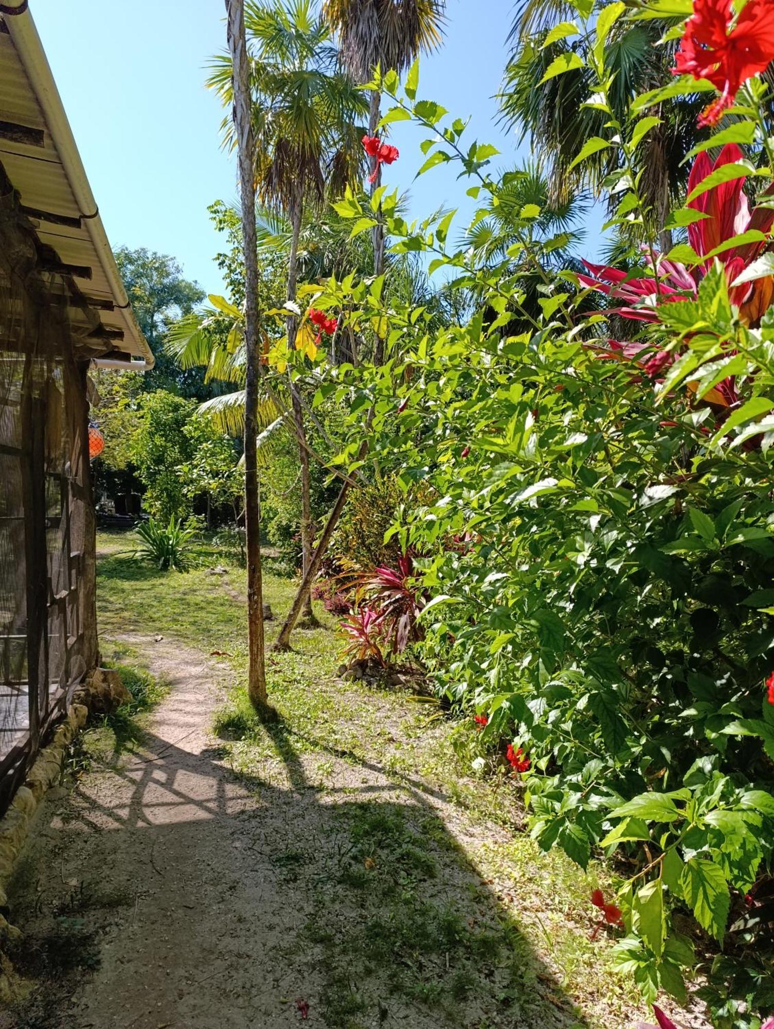 Chez Gigi - Eco Lodge Mahahual Luaran gambar